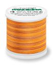 Spule Madeira Polyneon Multicolor Desert Hill, bunt mit Orange, Gelb und Ocker